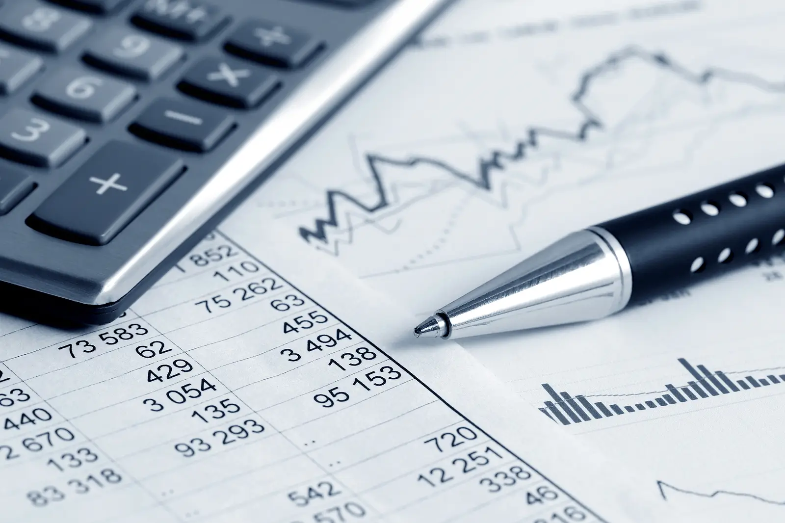 What Financial Reports Should You Expect from a Property Manager in Bluffton, SC?